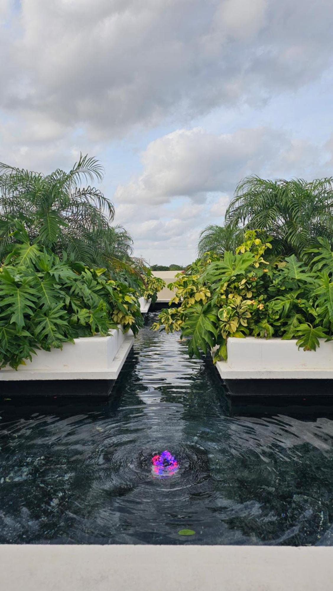 Xoza Cancun Distinctive Hotels Exterior foto